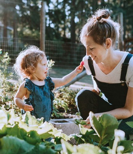 Institutional investor, investment solution, Ark Invests, sustainable investing